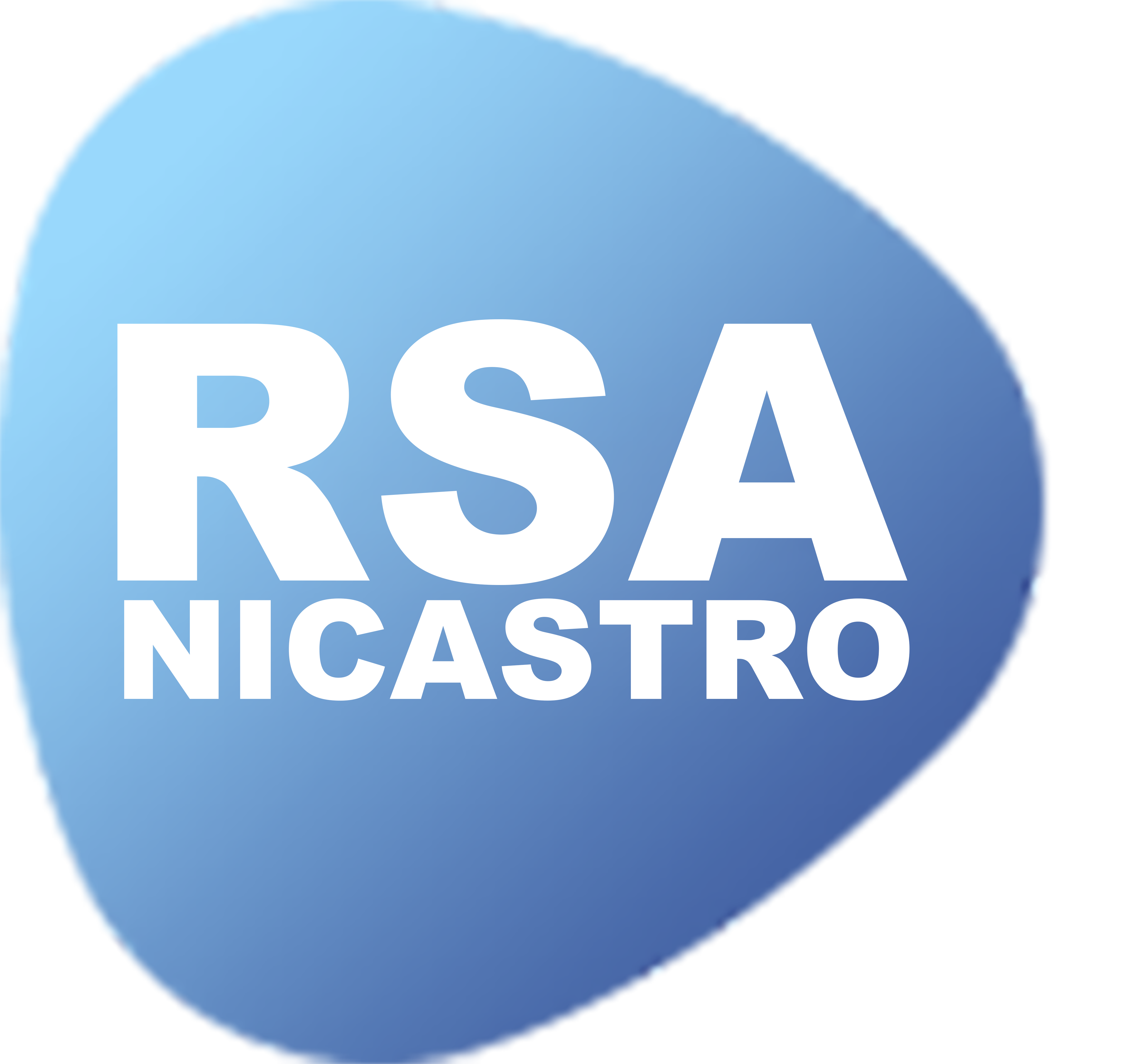 rsa nicastro